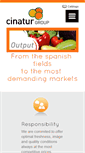 Mobile Screenshot of cinatur.com